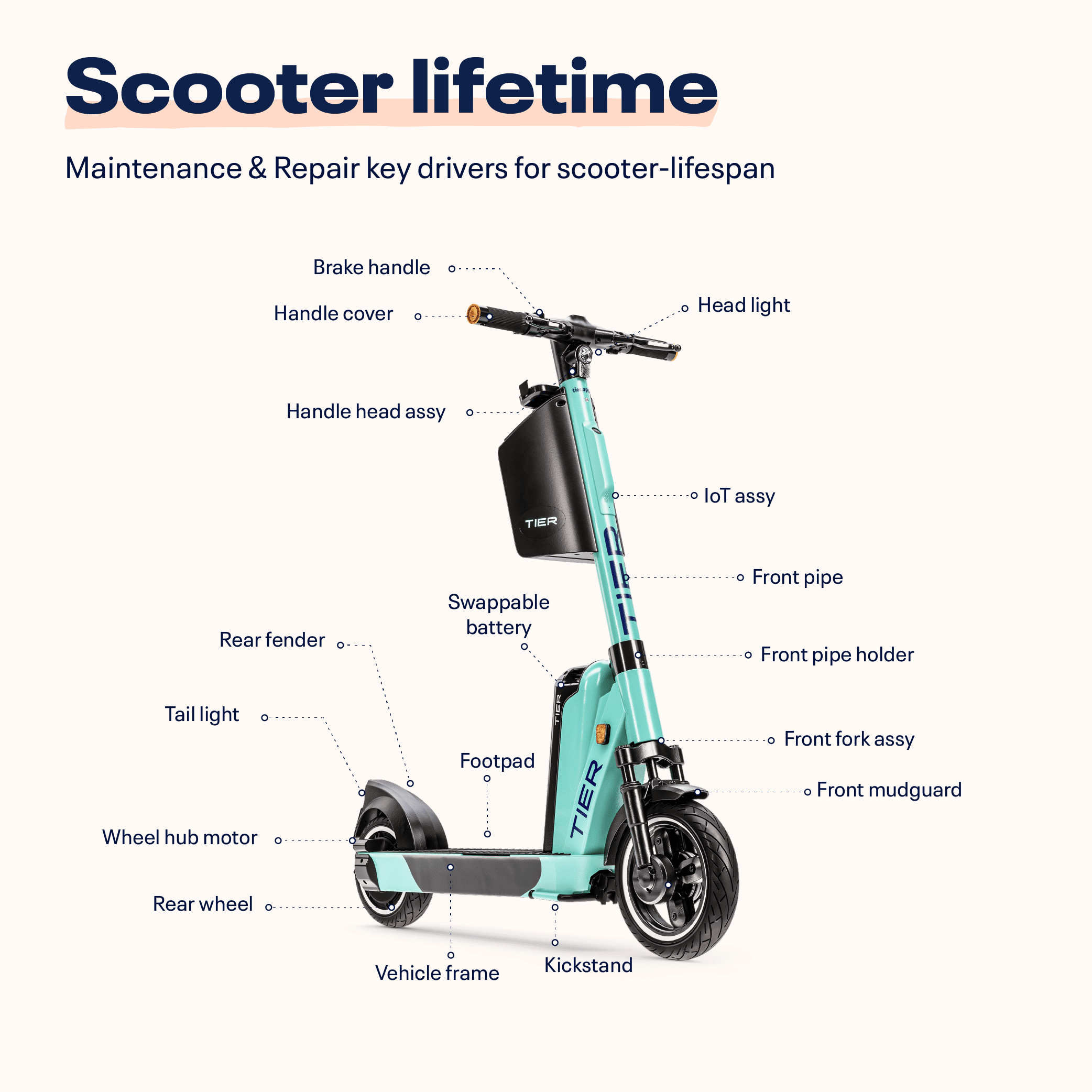 Are e-scooters sustainable?